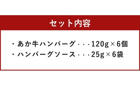 あか牛ハンバーグ (120g×6個) 合計720g ハンバーグ デミグラスソース付き 肉 お肉 惣菜 おかず