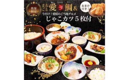 愛媛県産 ご当地『鯛グルメ』まるごと愛LOVE鯛２～３人前＆じゃこカツ5枚付【IM001_x】