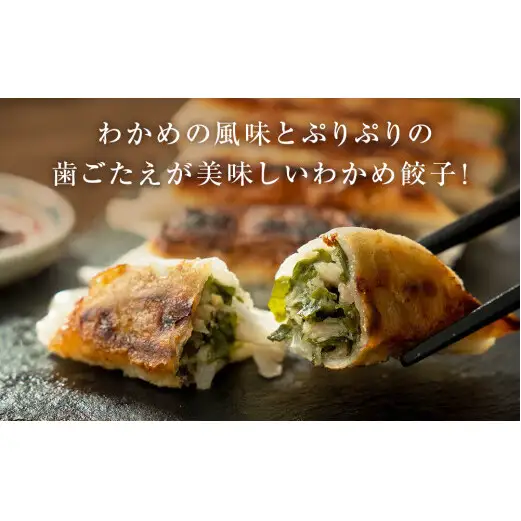 わかめ餃子　48個セット 冷凍 石巻市 十三浜産わかめ使用