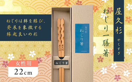 屋久杉 ねじり 一膳 箸 女性用（ 22cm ） K042-005_1