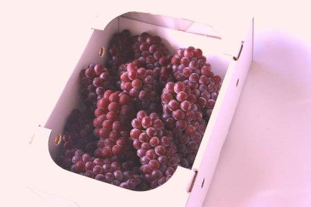 デラウェア（２ｋｇ）【ぶどう 葡萄 デラウェア 2kg フルーツ 果物 くだもの ブドウ 季節限定 期間限定 デザート ご褒美】