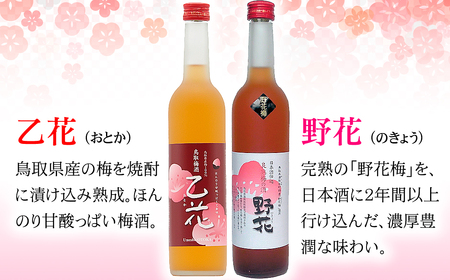 鳥取県の美味しい酒　梅酒　2本セットＢ_T2600071