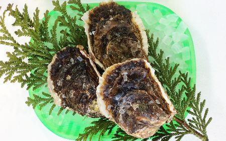  【魚倉】鳥取県産 天然岩ガキお任せセット 3kg（5～18個）【期間限定】_T2600170