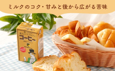 コーヒー 250ml×24本 1ケース 紙パック 常温保存可能