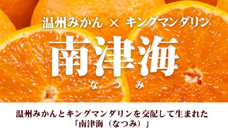 【 小豆島 】 南津海 （ なつみ ） みかん 約5kg 柑橘 ミカン 果物 フルーツ  越冬 完熟 くだもの 国産 香川 香川県 土庄 土庄町
