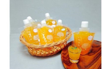 ＜大容量！＞本格かんきつジュレ「いちずみ」20個入り ゼリー ゼリー ゼリー ゼリー ゼリー ゼリー【KK0082】