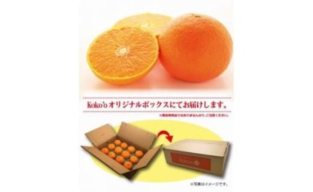【2026年11月中旬頃から順次発送】愛果28号 (紅まどんな と同品種) 家庭用(優品) 約3kg あいか みかん ミカン オレンジ 贈答 ギフト プレゼント 高級 柑橘 松山 愛媛県 【KK0111】