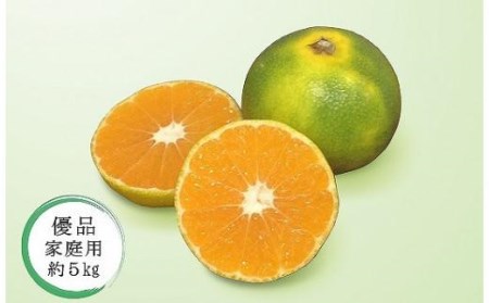 【2026年10月中旬頃から順次発送】【温州みかん】 極早生 優品・家庭用 約5kg |  愛媛 【温州みかん】 【KK0501】