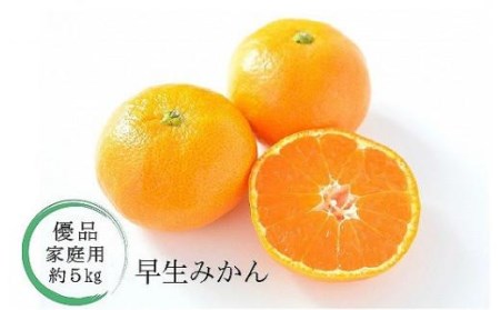 【2026年11月中旬頃から順次発送】温州みかん「早生」＜優品・家庭用＞約5kg （ 愛媛産 愛媛県産 国産 愛媛みかん 愛媛蜜柑 愛媛ミカン みかん ミカン mikan 蜜柑 柑橘 フルーツ 果物 くだもの お取り寄せ 産地直送 数量限定 人気 おすすめ 愛媛県 松山市 送料無料 ）【KK0531】
