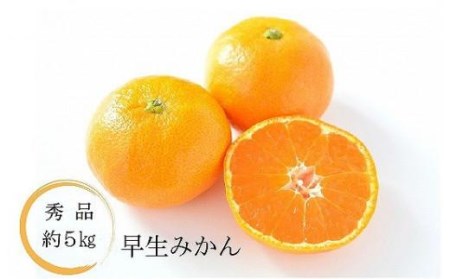 【2026年11月中旬頃から順次発送】温州みかん「早生」＜秀品＞約5kg（ 愛媛産 愛媛県産 国産 愛媛みかん 愛媛蜜柑 愛媛ミカン みかん ミカン mikan 蜜柑 柑橘 フルーツ 果物 くだもの お取り寄せ 産地直送 数量限定 人気 おすすめ 愛媛県 松山市 送料無料 ）【KK0541】