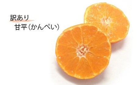 【甘平】【2027年1月下旬頃から順次発送】＜訳あり＞甘平(かんぺい) 約3kg 愛媛県松山市【KK0622】