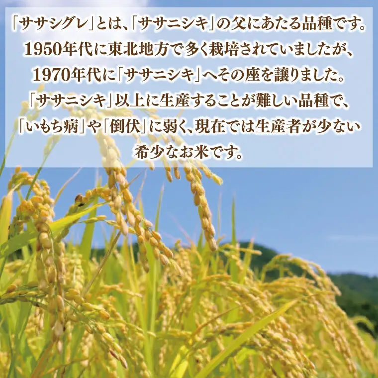 令和7年産 ささしぐれ 玄米 精米 各5㎏ DE009 