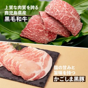 【岩元精肉店】鹿児島県産黒毛和牛・かごしま黒豚バラエティセット K045-008 肉 豚肉 牛肉 惣菜 総菜 冷凍