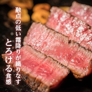 【岩元精肉店】鹿児島県産黒毛和牛A4等級 ヒレステーキ K045-012 肉 牛肉 冷凍