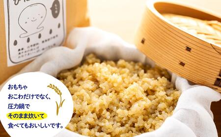 【無農薬・化学肥料不使用】大地の恵みをたっぷり受けた もち米（玄米）5kg