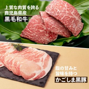【岩元精肉店】鹿児島県産黒毛和牛・かごしま黒豚 お楽しみ2か月お届けコース K045-T02 肉 豚肉 牛肉 惣菜 総菜 冷凍