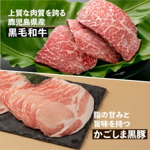 【岩元精肉店】鹿児島県産黒毛和牛・かごしま黒豚 味わい2か月お届けコース K045-T03 肉 豚肉 牛肉 冷凍