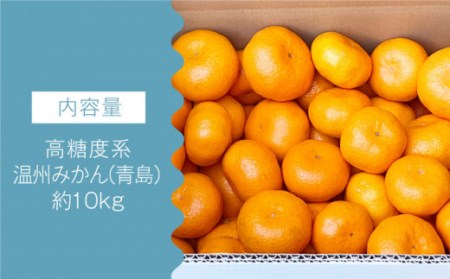 【数量限定】高糖度系 温州みかん(青島) 約10kg[OAF006] ミカン