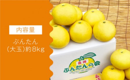 【数量限定】文旦(ぶんたん) 大玉 約8kg[OAF001] 文旦
