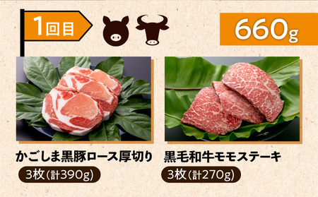 【 岩元精肉店 】 鹿児島県産 精肉 厳選 4か月 お届け コース K045-T04 肉 豚肉 牛肉 鶏肉 冷凍