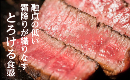 【 岩元精肉店 】 鹿児島県産 黒毛和牛 ヒレ ステーキ 5枚 （ 600g ） 6ヵ月 お届け コース K045-T05 肉 牛肉 冷凍