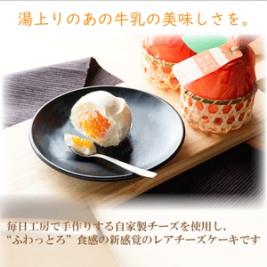 丸ごとみかんチーズケエキ 10個セット チーズケーキ お菓子 スイーツ おやつ ケーキ チーズケーキ スイーツ ケーキ チーズケーキ 道後 愛媛県 松山市【ME004_x】