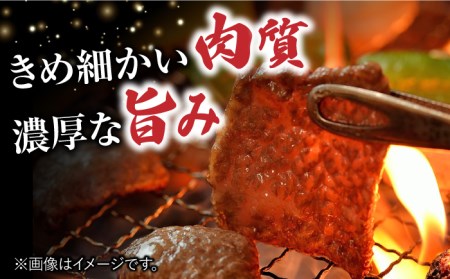 佐賀牛 肩ロース 焼肉用 計500g（250g×2パック） 吉野ヶ里町/一ノ瀬畜産 佐賀牛 牛肉 肉 国産 ブランド牛 肩 ロース 焼肉 [FDC002]
