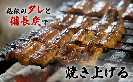 うなぎ 蒲焼 5 パック 【鹿児島名代 うなぎ 食堂 末よしのうなぎ 蒲焼 】 K047-001 魚 惣菜 総菜