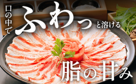 「 黒豚料理専門店 寿庵 」黒豚しゃぶしゃぶ セット（ 3～4人前 ） K049-001 肉 豚肉 冷凍