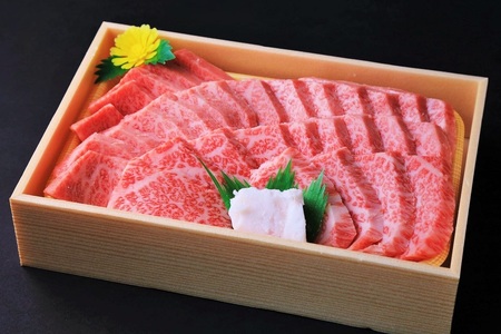 【神戸牛】焼肉用ロース:500g【最短7営業日発送】黒田庄和牛【冷蔵】 （tokusan-24）