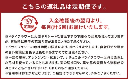 【6ヶ月定期便】ドライフラワーリース Mサイズ