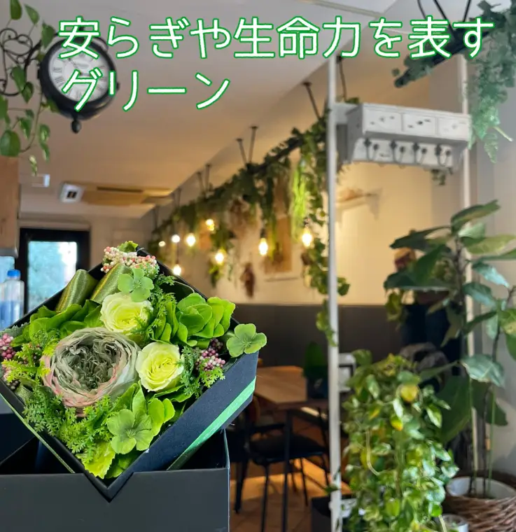 ブリザードフラワー ボックス（DR-18）