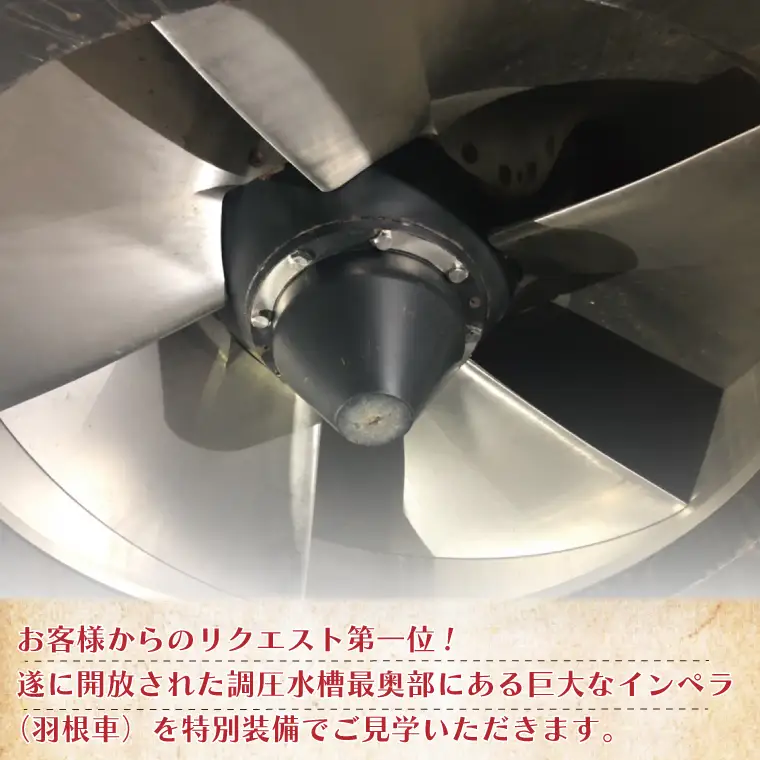 見どころ満載！首都圏外郭放水路インペラ体験コース1名様チケット（引換券）【埼玉県 春日部市 観光 産業見学 機械好き 社会科見学 非日常 おでかけ 週末 一人 旅行 大人】(BM003-1)