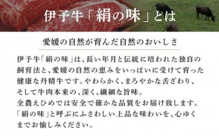 伊予牛「絹の味」黒毛和牛 小間切れ400g 肉 肉 肉 肉 肉 お肉 和牛 黒毛和牛【NKH01】