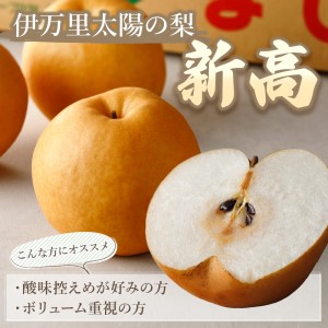 【令和8年産先行予約】伊万里梨「新高」 5kg 大型種 178-B942