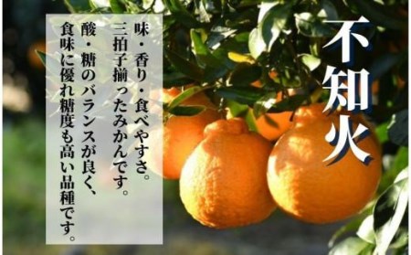 【でこぽんと同品種】 不知火 家庭用 約 2.5kg ＜2027年3月中旬頃～4月頭頃発送＞  デコポン【PT029_x】