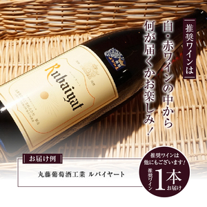 ワイン 勝沼ぶどうの丘推奨一升瓶ワイン（KBO）B-650