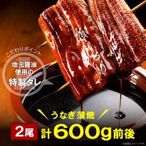 うなぎの蒲焼ビッグサイズ　2尾（計600g前後）_K04705