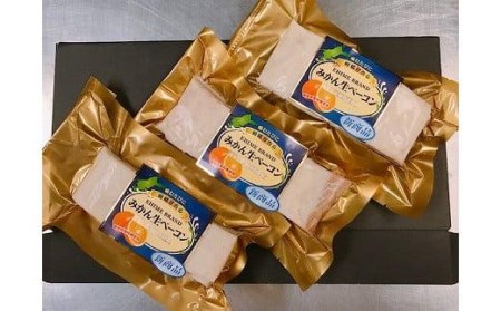 【ギフト用】愛媛県産豚肉と柑橘を使ったみかん生ベーコン【TS021_x】ベーコンベーコンベーコンベーコンベーコンベーコンベーコンベーコンベーコンベーコンベーコンベーコンベーコンベーコンベーコンベーコンベーコンベーコンベーコンベーコンベーコンベーコンベーコンベーコンベーコンベーコンベーコンベーコンベーコンベーコンベーコンベーコンベーコンベーコンベーコンベーコンベーコンベーコンベーコンベーコンベーコンベーコンベーコンベーコンベーコンベーコンベーコンベーコンベーコンベーコンベーコンベーコンベーコンベーコンベーコンベーコン