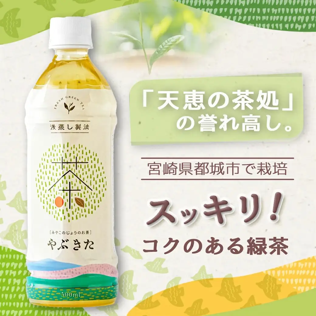 【みやこのじょうのお茶】やぶきた500ml×24本(2ケース)〔AD-I501〕_(都城市) お茶 ペットボトル 500ml 24本 2ケース
