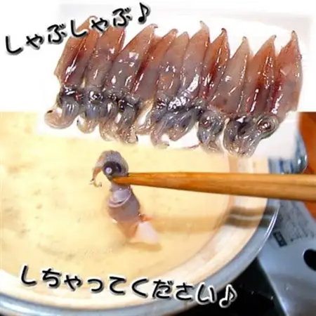 旬凍結ホタルイカ　殺菌済　小分け20尾入×4パック【3D凍結】兵庫県浜坂　生食可 お刺身しゃぶしゃぶ【配送不可地域：離島】【1156660】