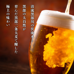 ビール ふるさと定期便　宇奈月ビール6缶セット×6回（6か月連続発送）/地ビール クラフトビール 北陸 缶/富山県黒部市 飲み比べ お酒 酒 