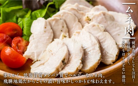 鶏肉 ささみ むね肉 計900g 飛騨地鶏 地鶏 鶏むね肉 ムネ肉 冷凍 小分け ヘルシー BBQ 唐揚げ チキン南蛮 カレー シチュー 煮物 チキンサラダ [Q2630]
