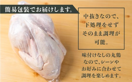 訳あり 鶏肉 丸鶏 中抜き 1羽 飛騨地鶏 地鶏 とり肉 水炊き ローストチキン タッカンマリ サムゲタン 参鶏湯 クリスマス パーティー アウトドア BBQ キャンプ [Q2616]
