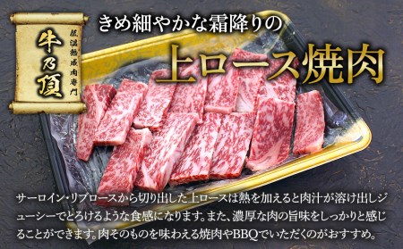 おおいた和牛 焼肉セット 上カルビ・上ロース | 焼肉セット 津久見市