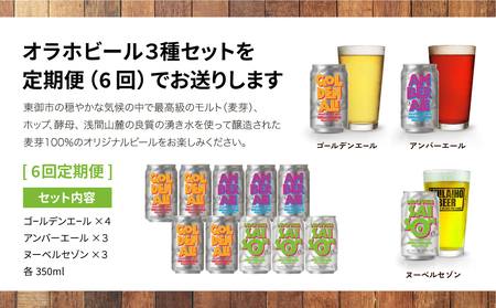 【6回定期便】クラフトビール3種飲み比べ10本セット（ゴールデンエール、アンバーエール、ヌーベルセゾン）｜オラホビール 地ビール　※インターナショナル・ビアカップ2020銀、銅受賞