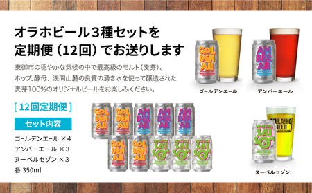 【12回定期便】クラフトビール3種飲み比べ10本セット（ゴールデンエール、アンバーエール、ヌーベルセゾン）｜オラホビール 地ビール　※インターナショナル・ビアカップ2020銀、銅受賞