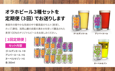 【3回定期便】クラフトビール3種飲み比べ20本セット（ゴールデンエール、アンバーエール、ヌーベルセゾン）｜オラホビール 地ビール　※インターナショナル・ビアカップ2020銀、銅受賞