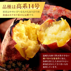 ＜2026年8月下旬以降発送・先行予約＞ホクホク系さつまいも「坂出金時いも」約5kg×2箱　2L～Mサイズ | サツマイモ