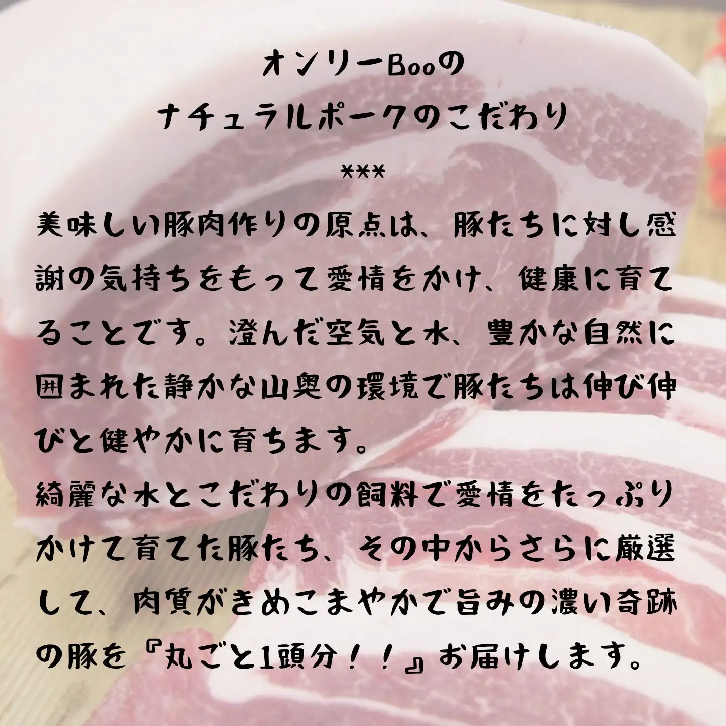 奇跡の豚　まるごと１頭分！！　I LOVE ポークセット [81]